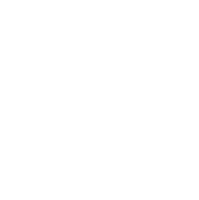 Inicio 21 Camara